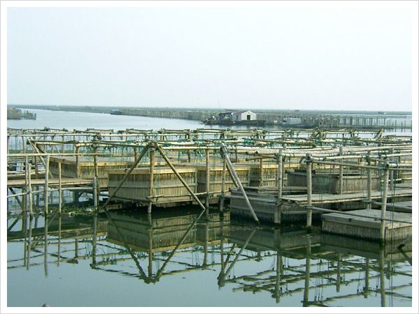 養(yǎng)殖基地