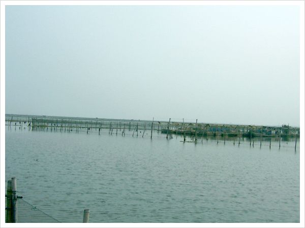 養(yǎng)殖基地